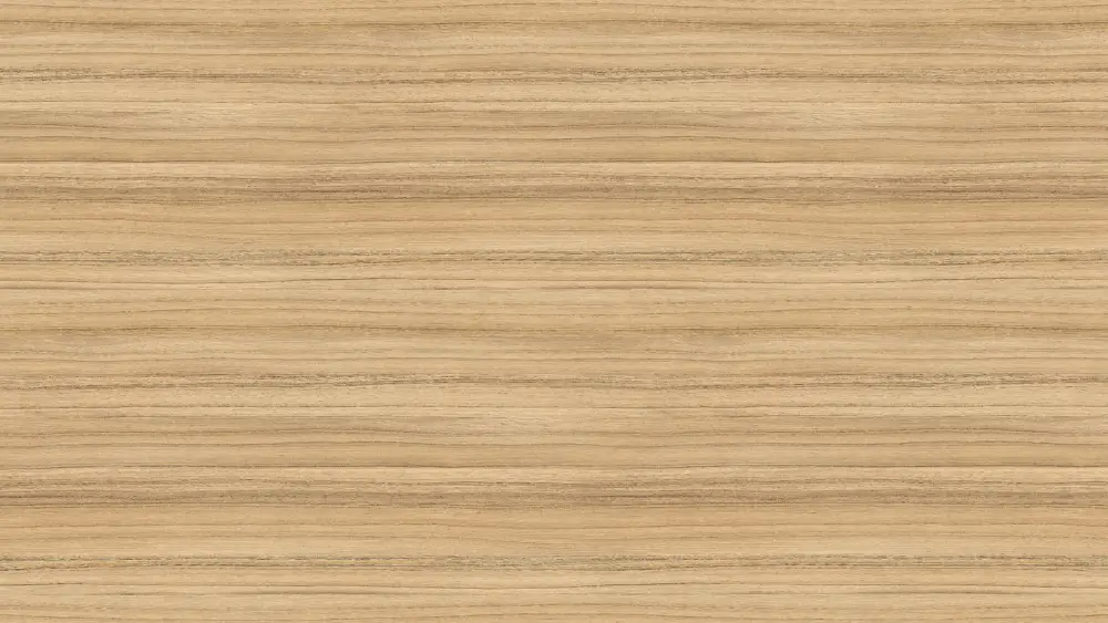 COCO BOLO_H3012 ST22