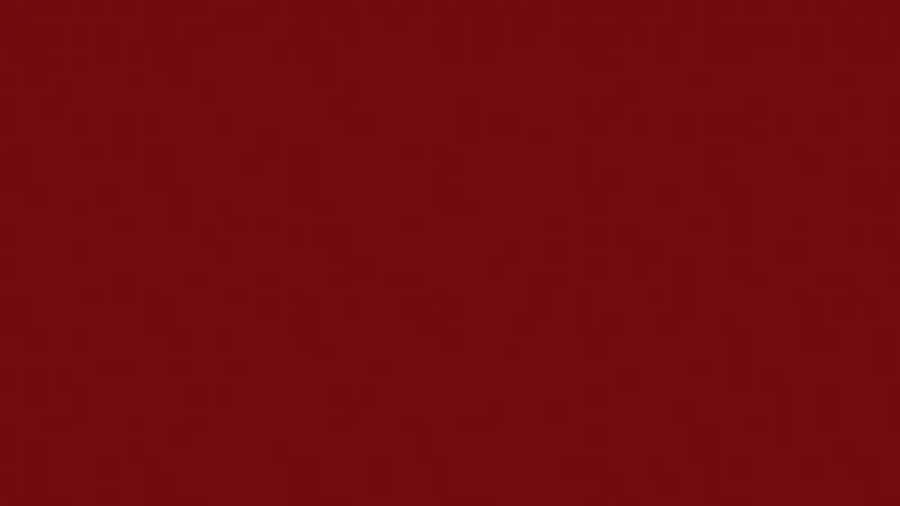 ROUGE BORDEAUX_U311 ST9