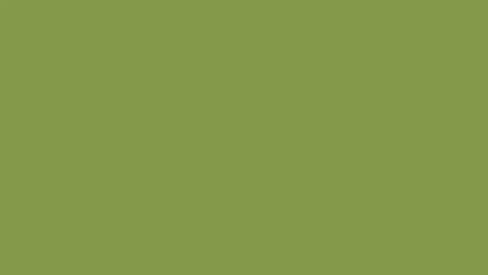 VERT KIWI_U626 ST9
