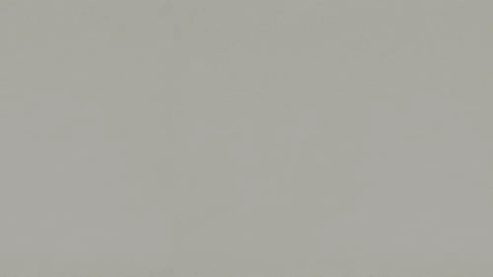 GRIS ARGENT BROSSÉ_F765 ST20