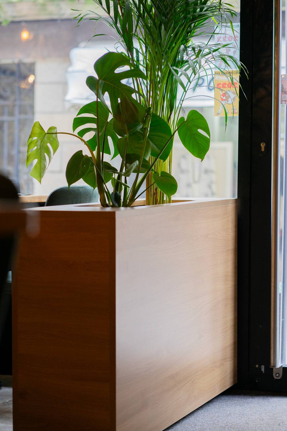 Coffrage pour plante