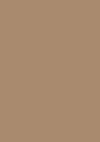 BEIGE CARAMEL_U250 PM:ST9
